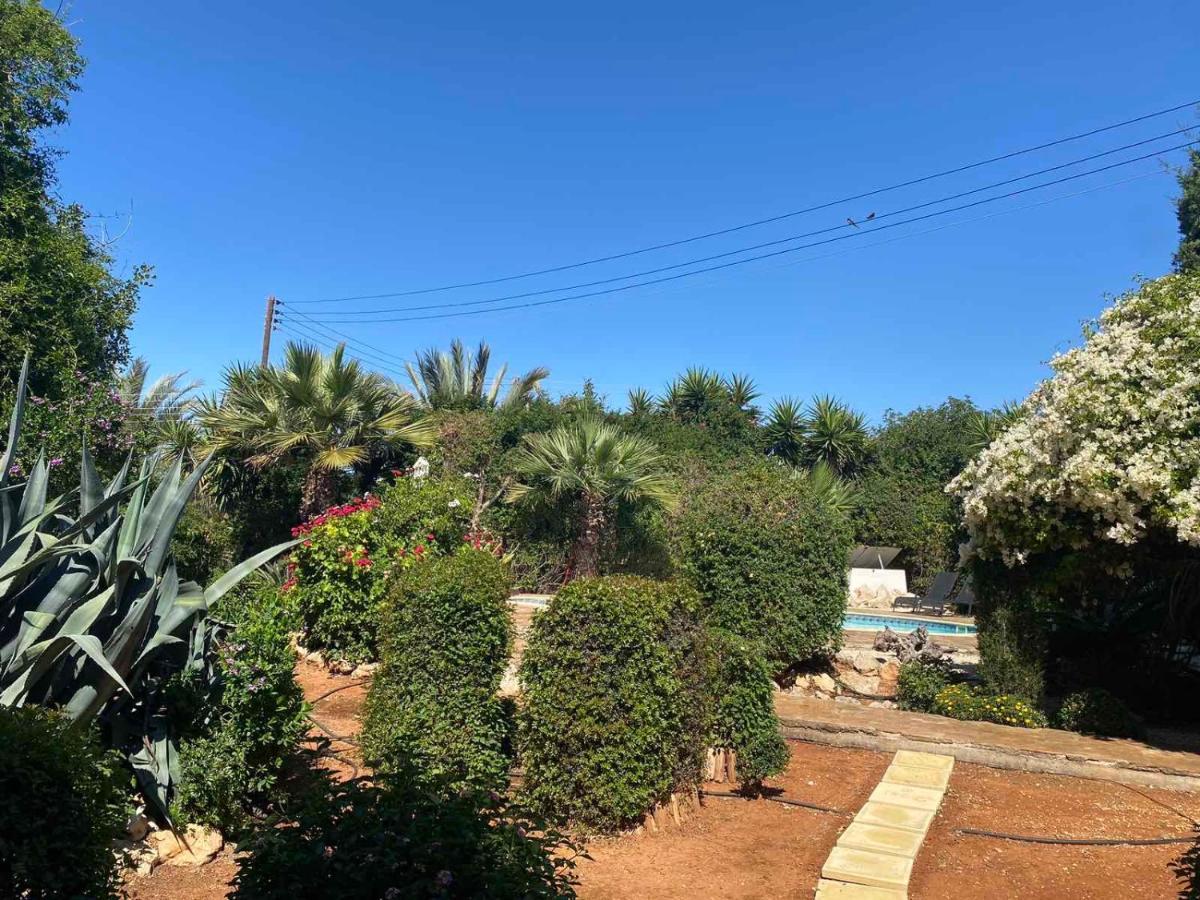 Konnos Villa Protaras Extérieur photo