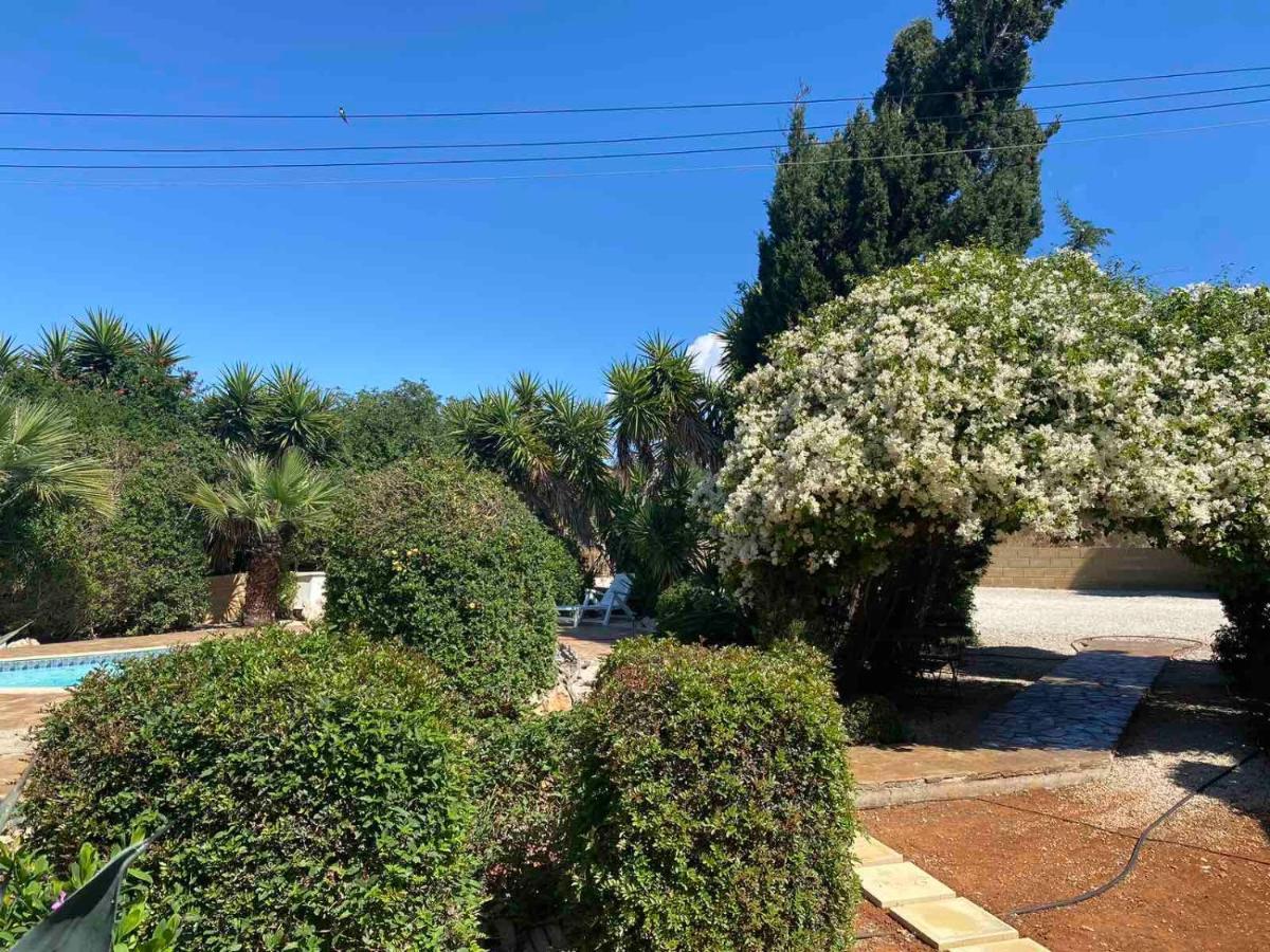 Konnos Villa Protaras Extérieur photo